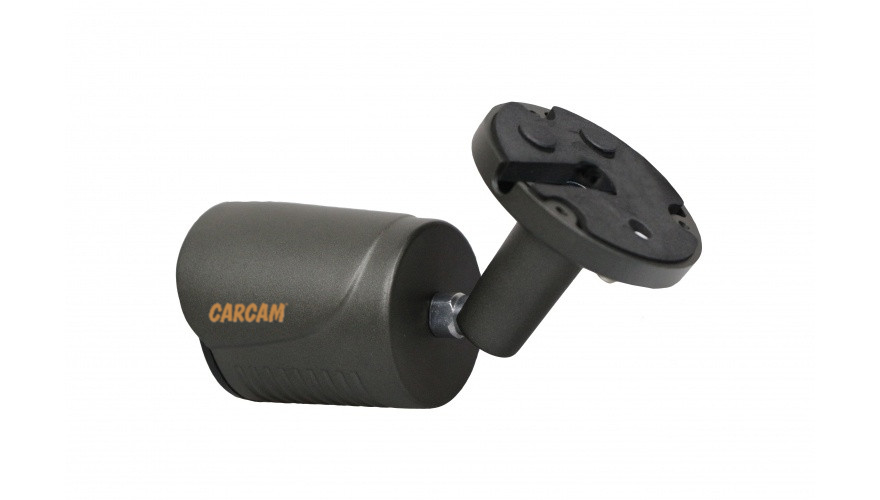Муляж CARCAM CAM-802