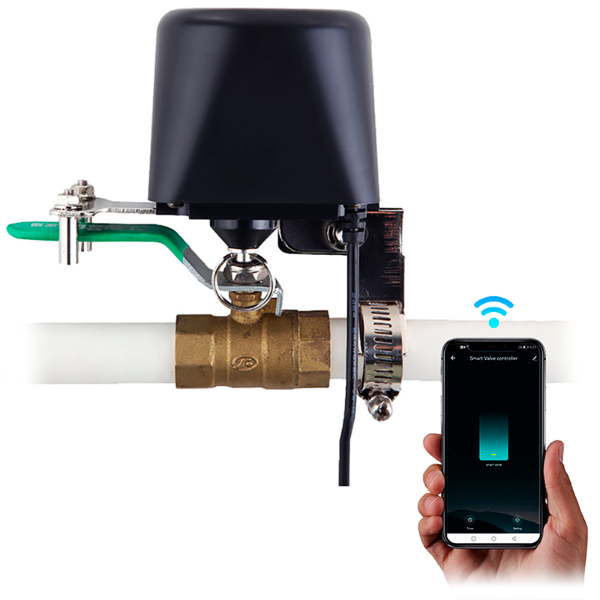 CARCAM WIFI Gas Valve 2.6T