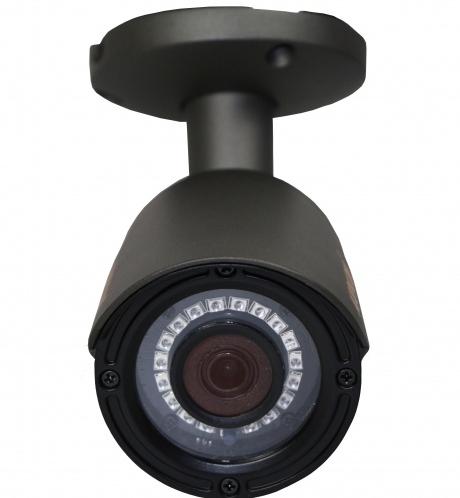 Муляж CARCAM CAM-802