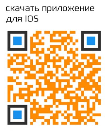 Автомобильное зарядное устройство с GSM-модемом для CARCAM COMBO