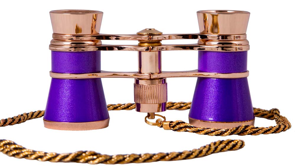 Levenhuk Broadway 325C Amethyst