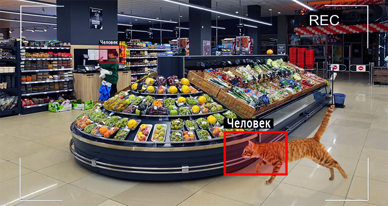 chelovek2.jpg