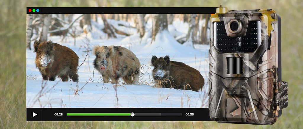 Фотоловушка Suntek HC-900LTE 7achestvo.jpg