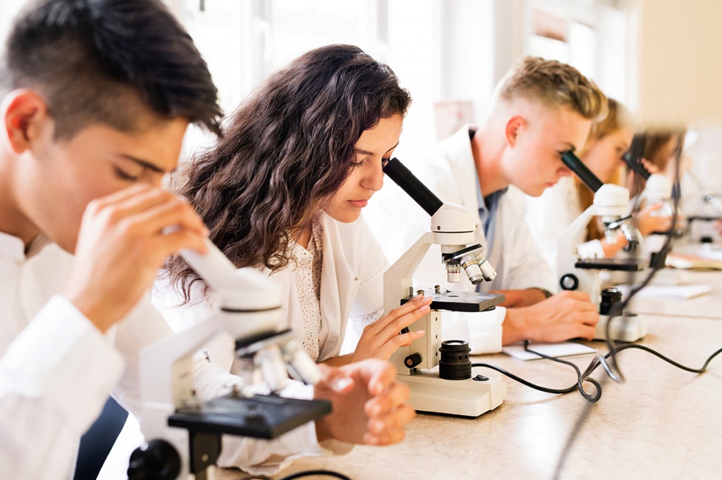 microscope-study-2.jpg