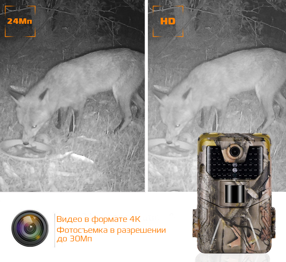 Фотоловушка Suntek HC-900A.jpg