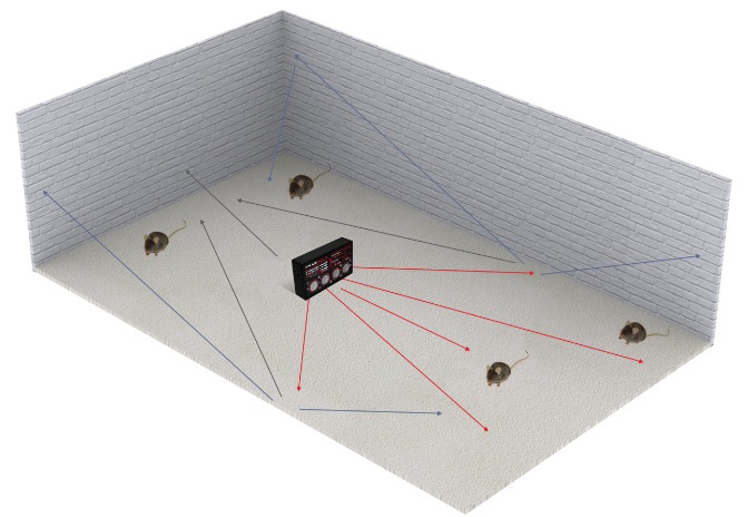 Принцип работы системы отпугивания грызунов