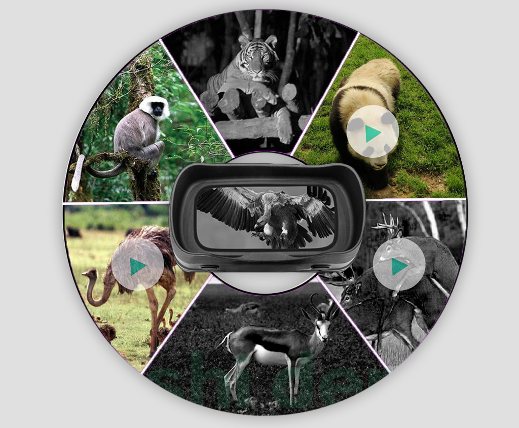 Suntek NV-3180 cam.png