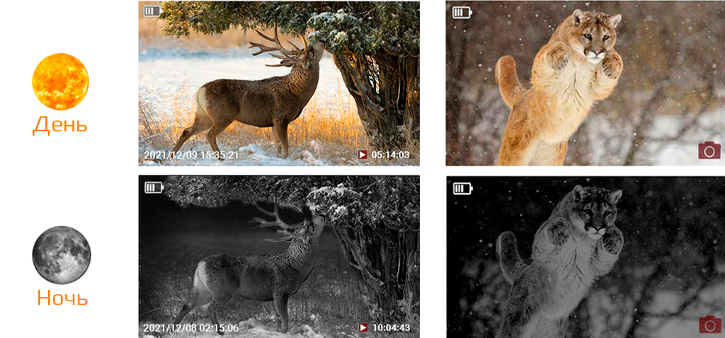 Suntek HC-601Pro_3.jpg