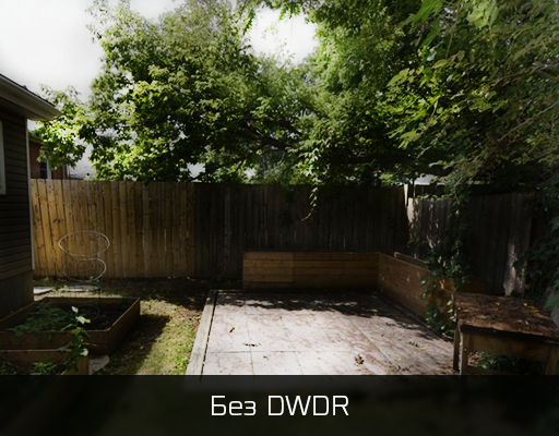 Без DWDR