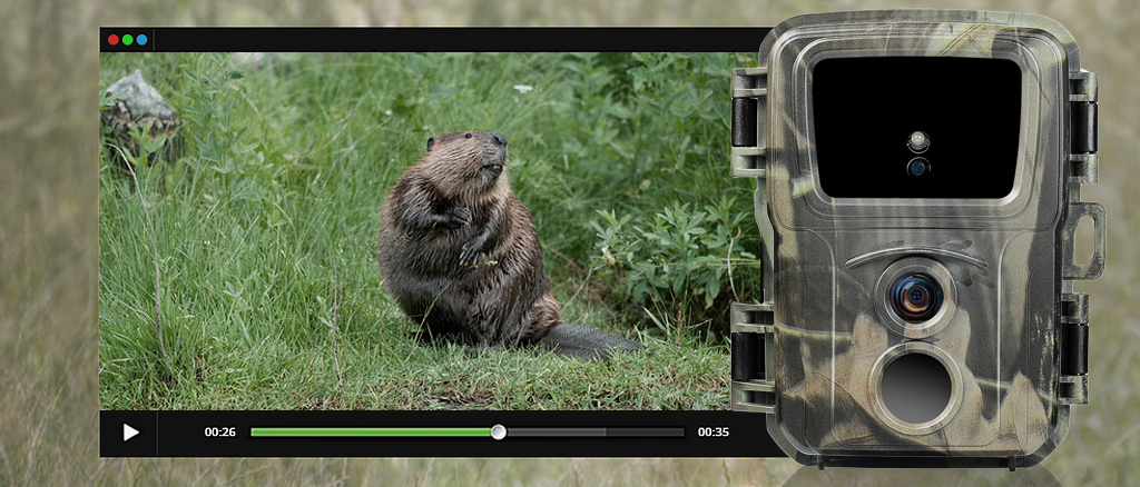 Фотоловушка Suntek Mini600 7achestvo.jpg