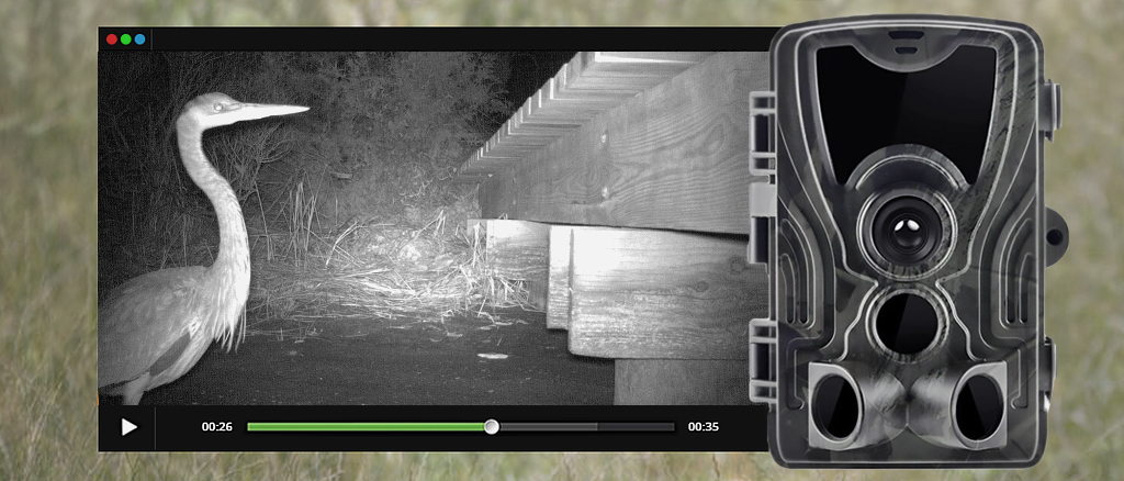 Фотоловушка Suntek HC-801A 7achestvo.jpg