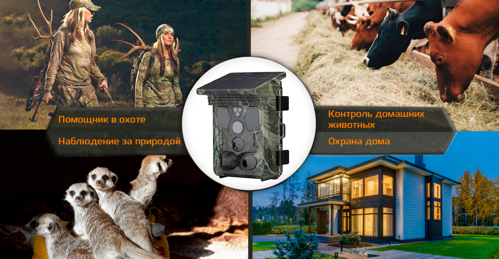 Suntek HC-601Pro_1.jpg