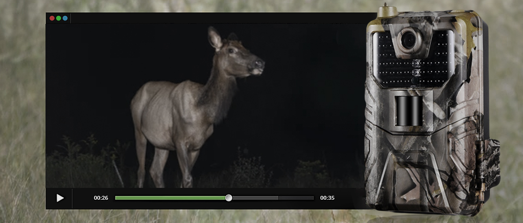 Фотоловушка Suntek HC-900M 7achestvo.jpg