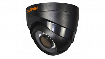 Муляж CARCAM CAM-822