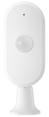 CARCAM Wireless Motion Sensor 809W