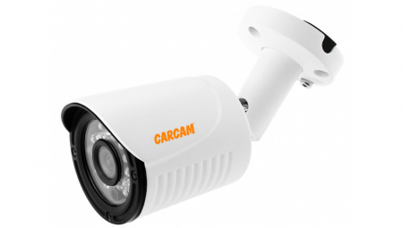 Муляж CARCAM CAM-801