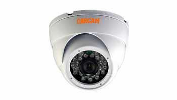 Муляж CARCAM CAM-820