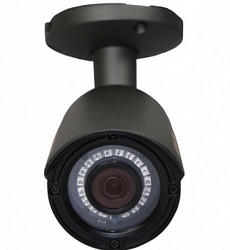 Муляж CARCAM CAM-802