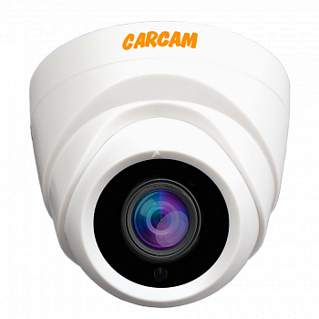 Муляж CARCAM CAM-725