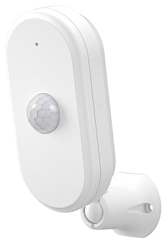 CARCAM Wireless Motion Sensor 809W