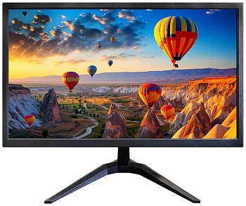 CARCAM CCTV Monitor (CC20AW)